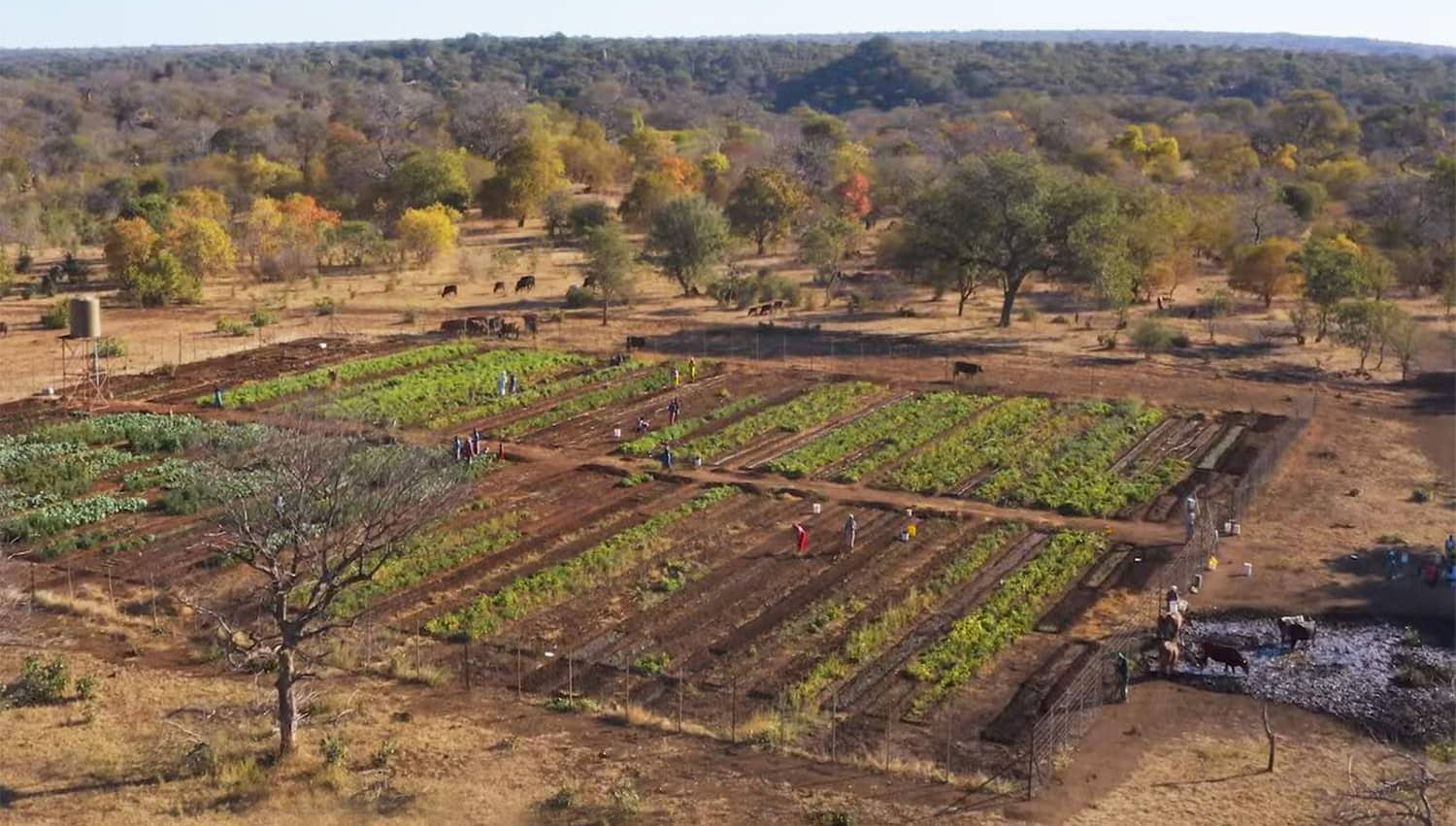 Proposed Farming Operation